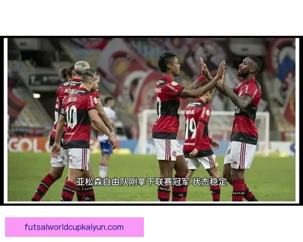 解放者杯奖金榜分析：各队收入数据和竞争力趋势解读